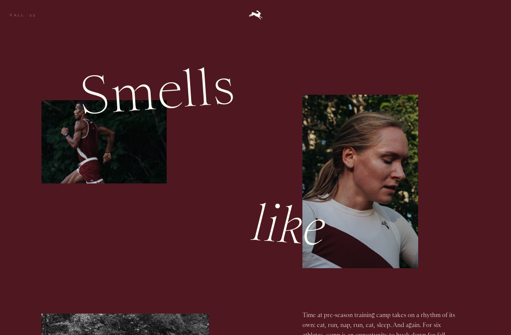 Smells Like Team Spirit / Fall '22