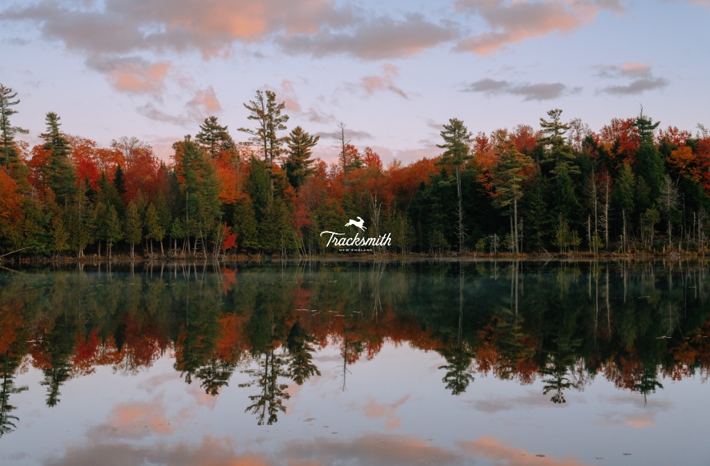 Autumn's Embrace
