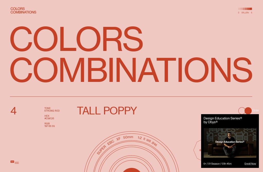 Colors Combinations — Tall Poppy Combinations