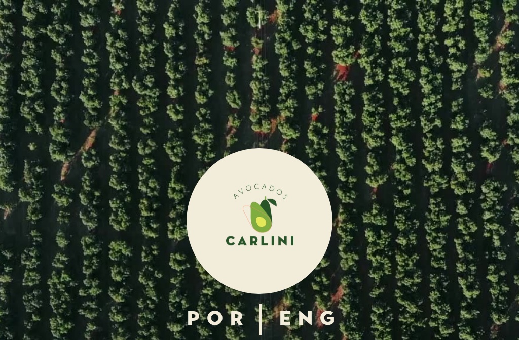 Carlini Comercio de Frutas Ltda.