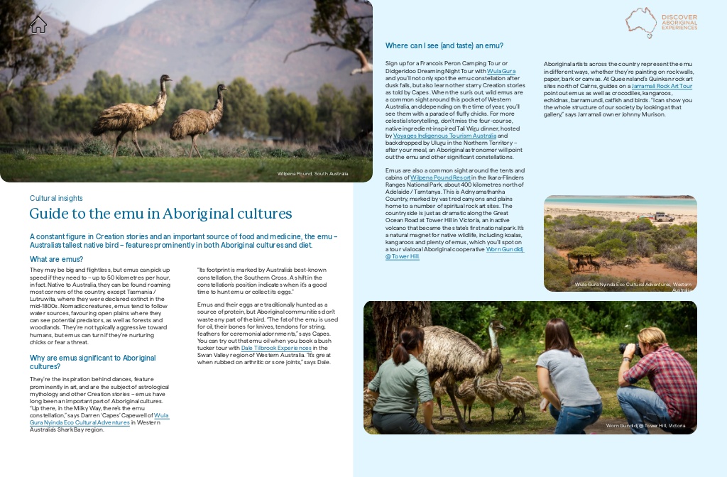DAE STORY BANK 2026 — Guide to emu in Aboriginal Cultures