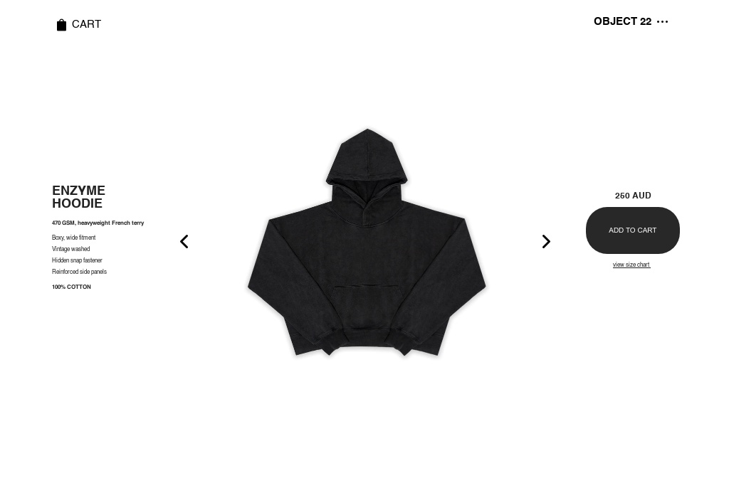 OBJECT 22 — ENZYME HOODIE