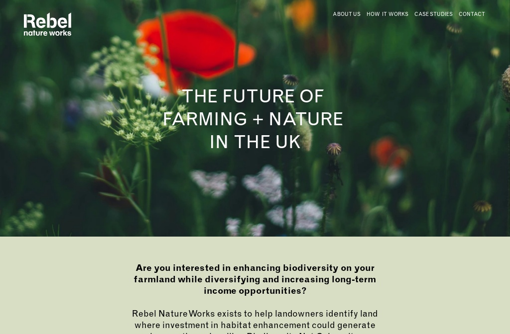 REBEL NATURE WORKS LTD logo