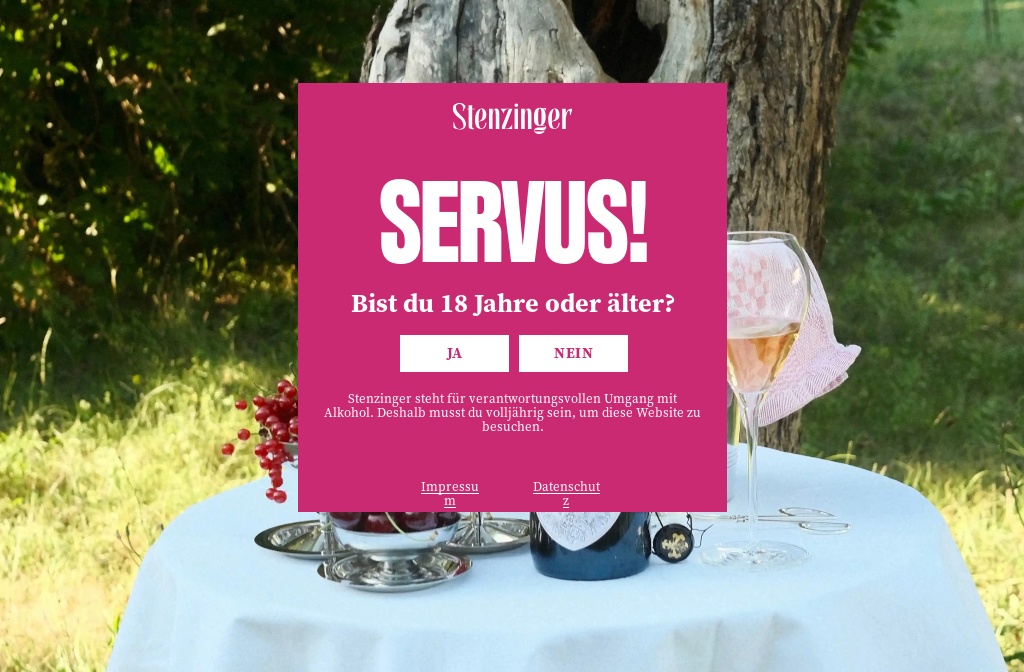 Bild von der Webseite von Stenzinger